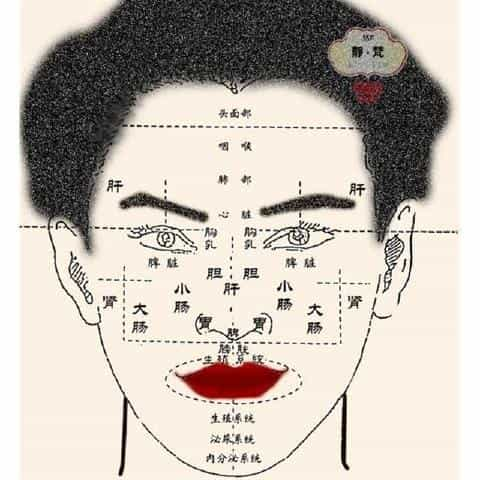 王鸿谟讲中医面诊25讲看自己的脸色视频合集