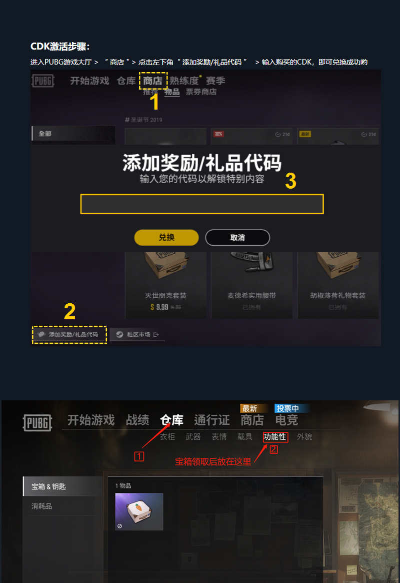 pubg绝地求生端游吃鸡皮肤cdk兑换码航空航天局探月者