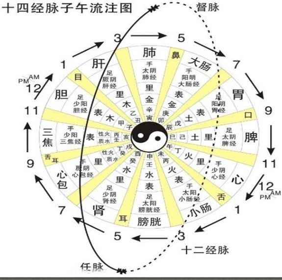 中医问诊顾植山五运六气精讲全套视频教程 25套文档资料 辅教赠品