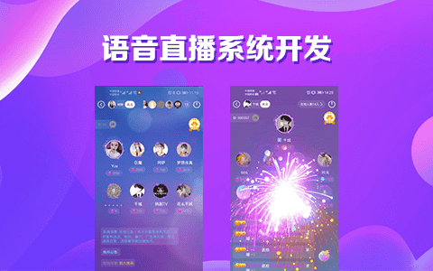 语音直播开发-知识营销.png