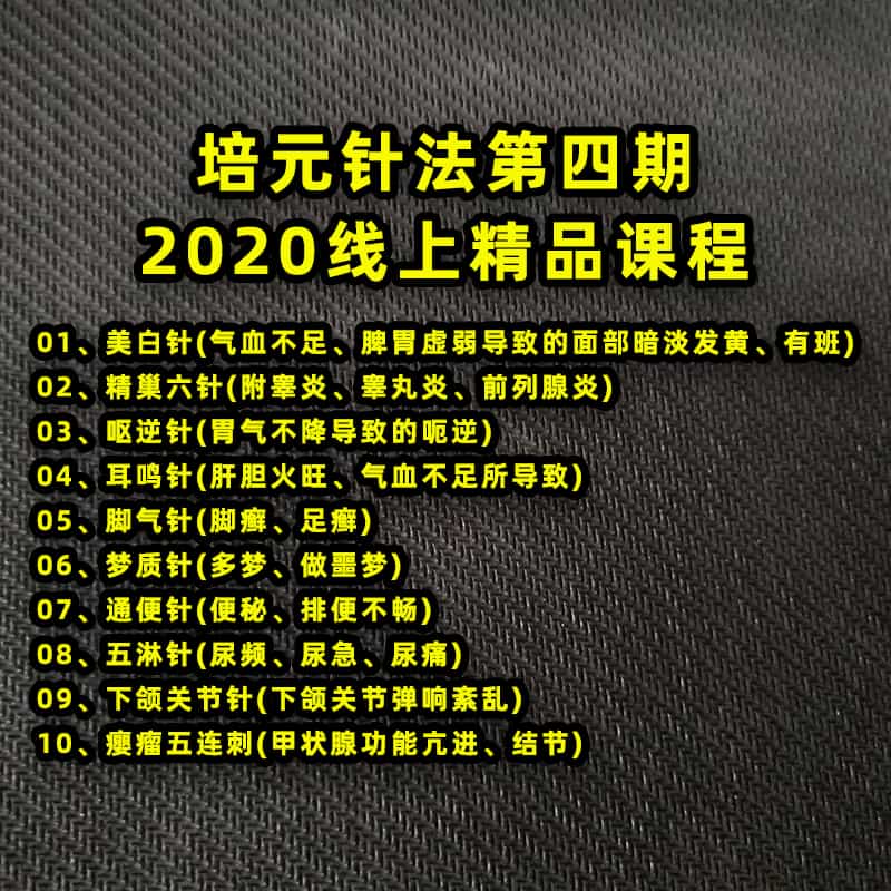 2020赵建新培元针法第四期美白针梦魇耳鸣针通便呕逆针五淋刺视频 - 宋马