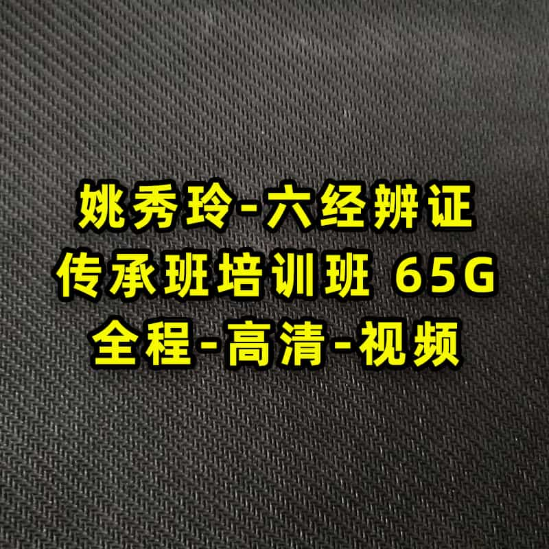 姚秀玲六经辩证传承班全程视频讲座高清完整视频65G.jpg