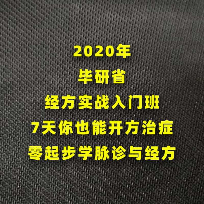 2020毕研省经方入门7天开方治病视频课程零起点学脉诊与开方 - 宋马