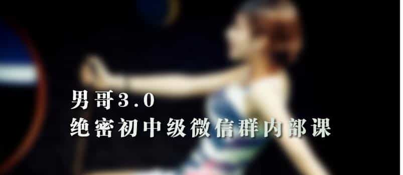 《男哥3.0初中级班微信群内部课》完整版下载 - 宋马