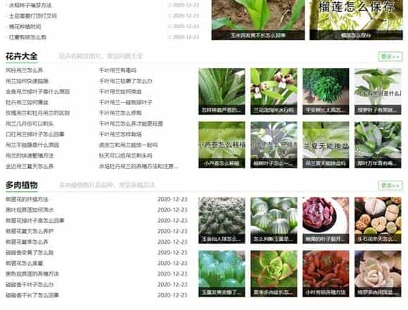 帝国cms内核仿发财农业网整站源码 农业知识养殖技术花卉大全农机农作物网站模板