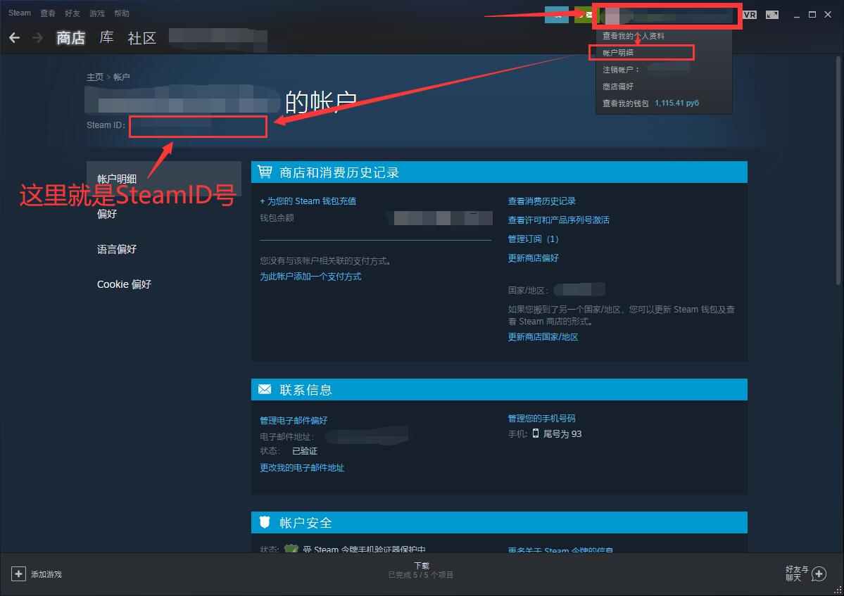 steam夏促冬促点数商店 个人资料头像边框背景 奖励显示 点数余额 - 送码网