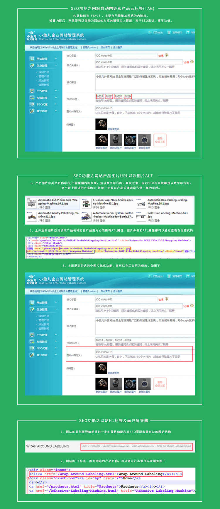 中英文企业外贸网站建设 公司模板源码制作设计google推广优化seo