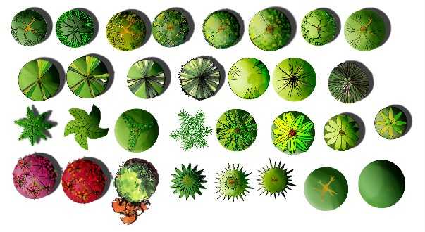 ps-025 平面图彩平树木 手绘水彩卡通竞赛风高端景观规划建筑设计