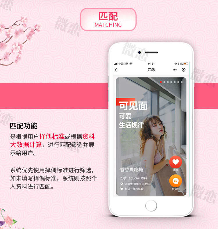 相亲交友app 专属红娘一对一视频 区域婚介社交同城约会 售源码