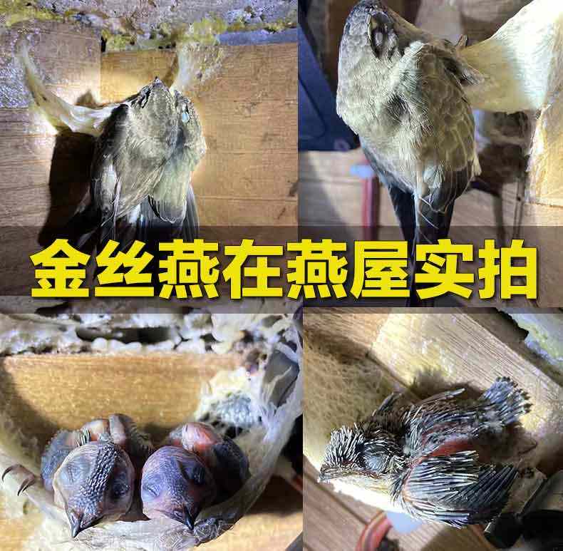 燕角100g燕窝旗舰店官方正品孕妇印尼溯源码干盏官网楼上燕条燕碎