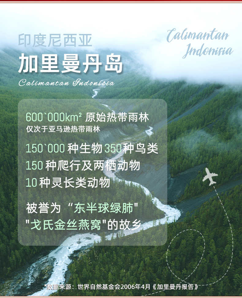 燕窝旗舰店官方正品溯源码干盏白燕大盏印尼加里曼丹孕妇滋补品