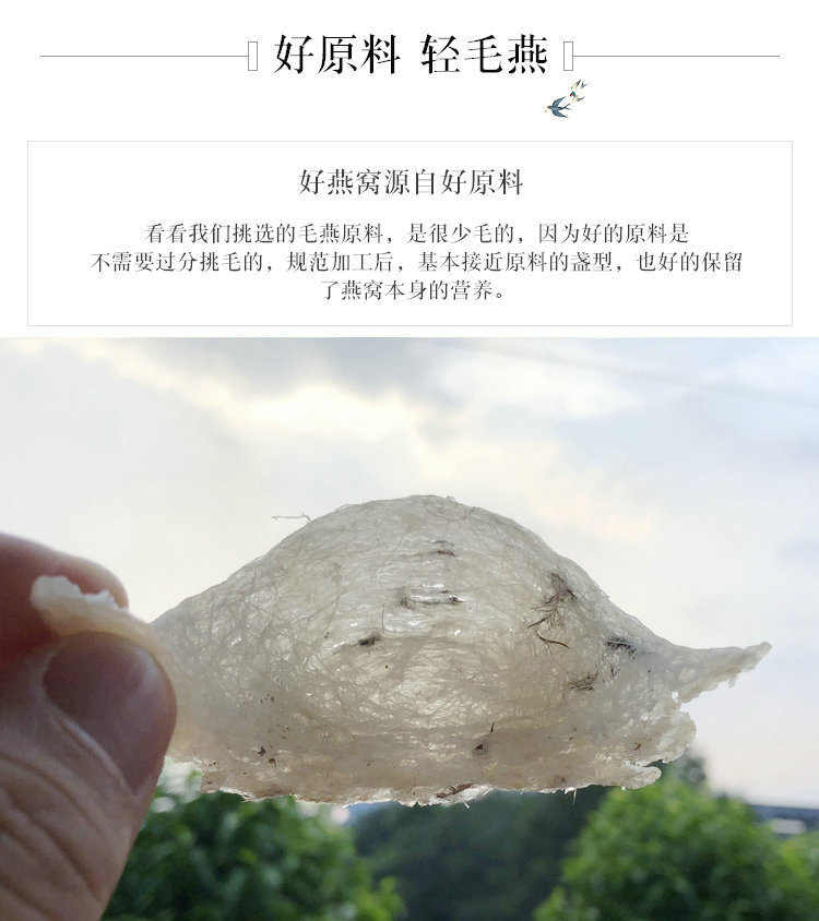 进口印尼雨季干挑6A官燕大燕条正品马来西亚破盏孕妇金丝燕窝经济