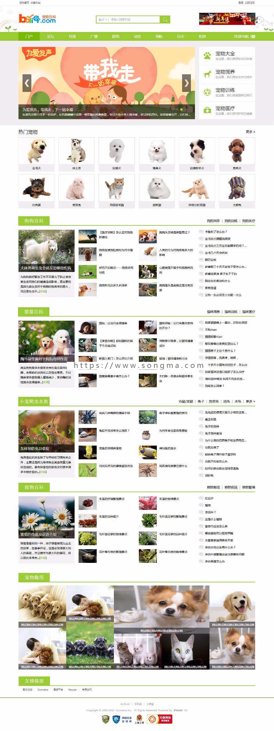 discuz模板 宠物社区-3P商业版 站拽波利琪宠物社区 DZ X3.4