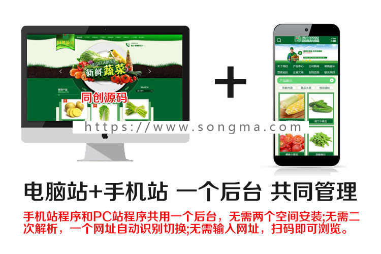 农产品蔬菜批发网站源码程序 ASP水果加盟网站程序模板带手机网站