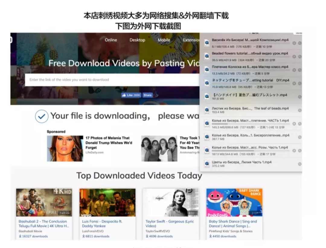法式刺绣视频教程电子书书籍初级入门课程饰品苏绣印度秀