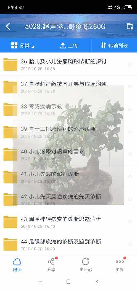 超声诊断学教程视频彩超诊断学b超彩超操作基础入门资源260G
