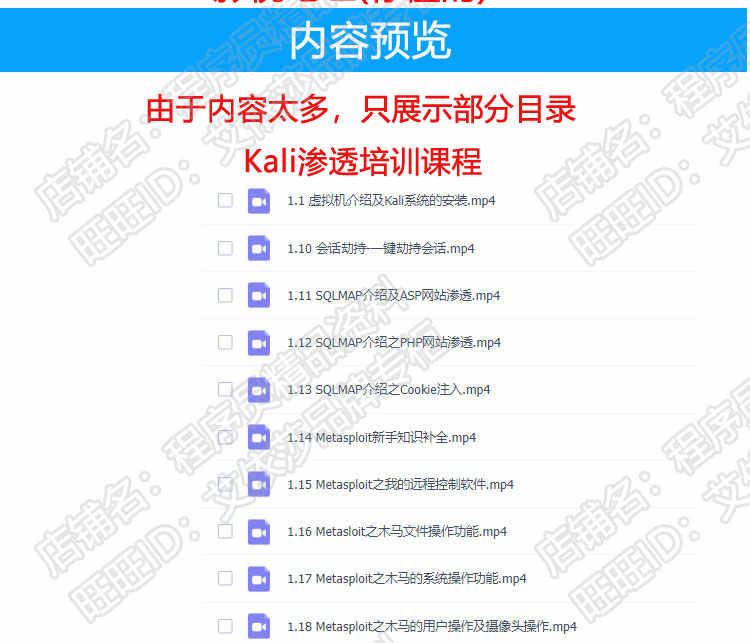 全套Web安全渗透测试视频教程Kali linux网络攻防实战技术带工具