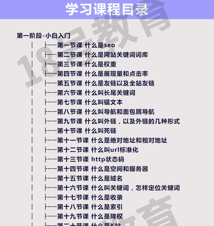 网站seo优化教程软件关键词优化排名原创文章工具基础视频教程