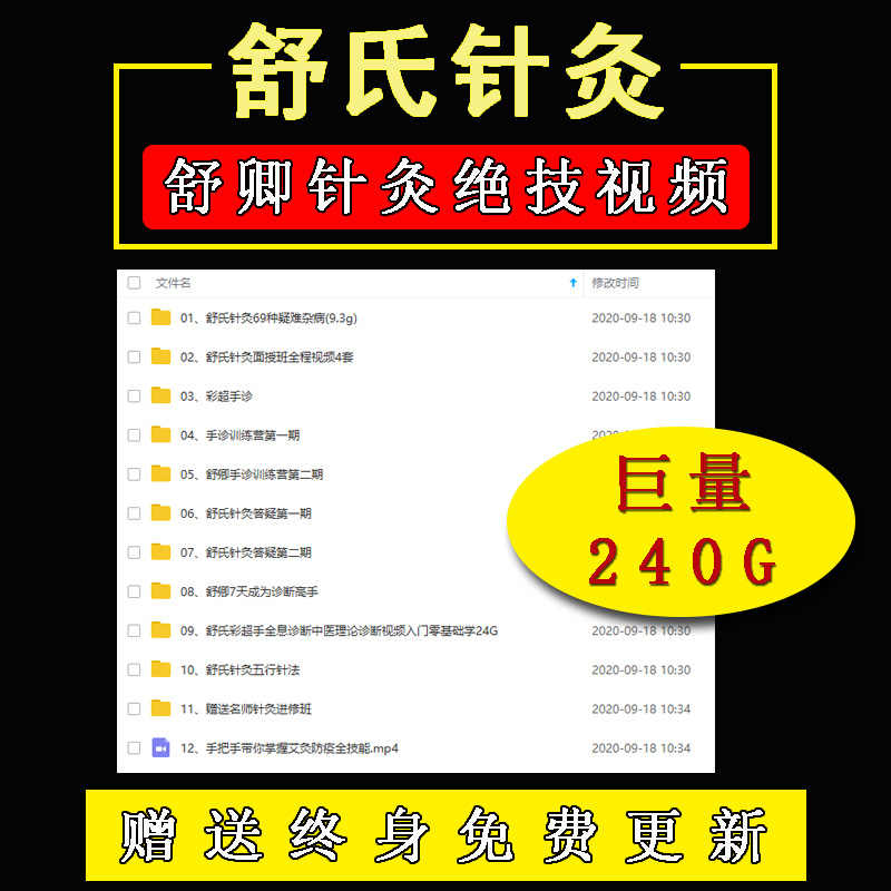 舒卿教程舒氏针灸内部资料课件69重疑难杂症入门教程视频教学课 - 宋马