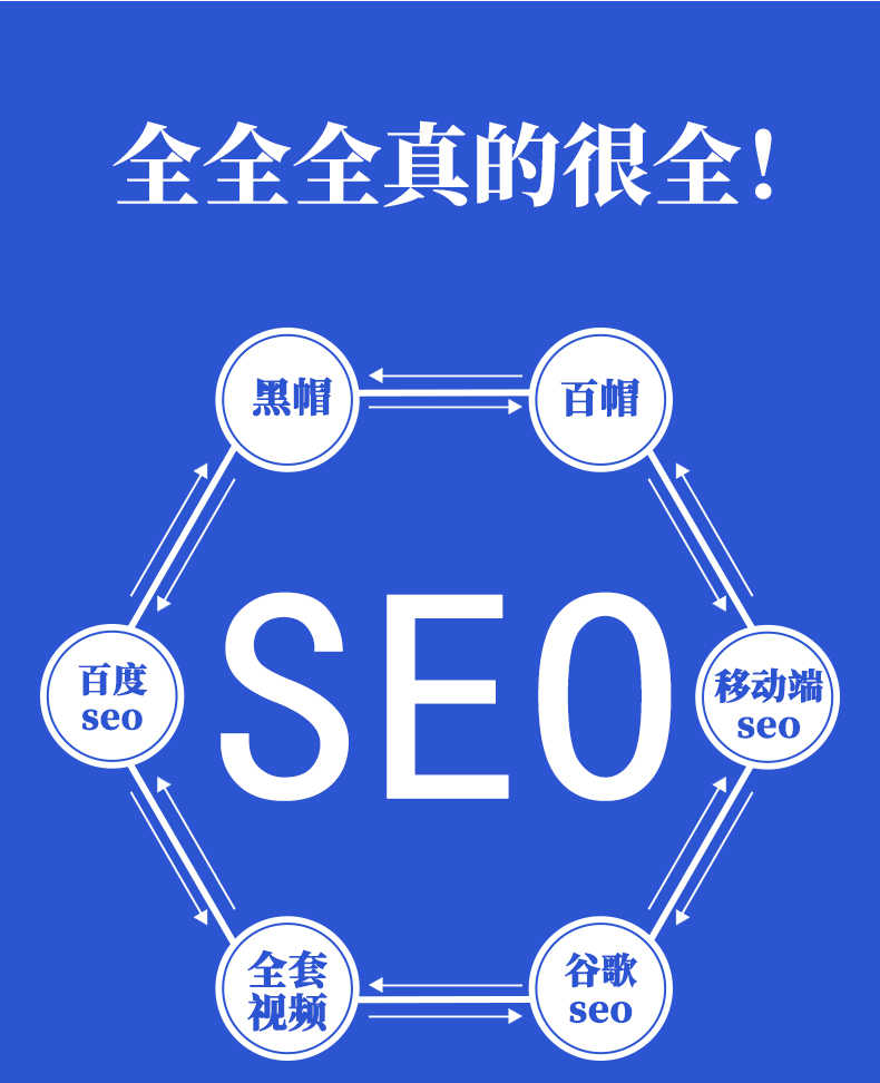 seo优化视频教程seo实战推广搜索引擎关键词收录黑帽白帽全套课程