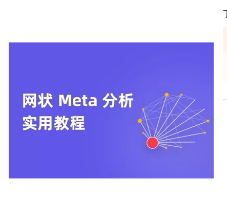 丁香园科研公开课网状 Meta 分析实用教程医学视频课程 - 宋马