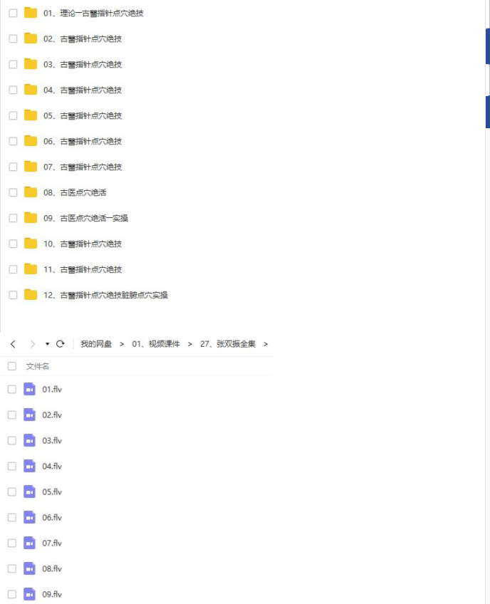 张双振中国古医指针点穴疗法视频教程全套中医针灸学视频课程全集 - 宋马