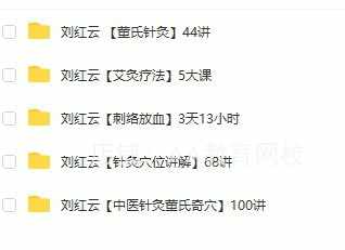 刘红云董氏奇穴针灸全集视频针灸教程临床特训刺络腹针中医课程