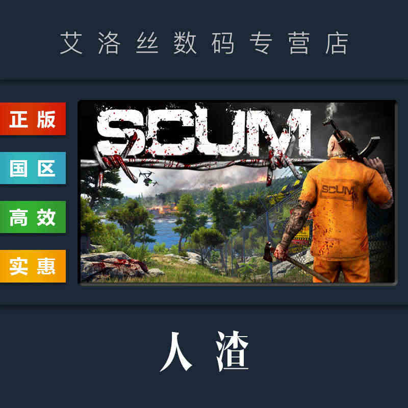 PC中文正版 steam平台 国区 生存联机游戏 人渣 SCUM 激活...