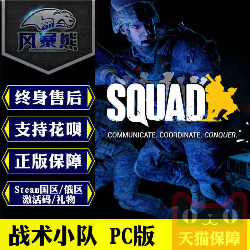 PC正版Steam战术小队 Squad 行动小组 土耳其 土区激活码c...