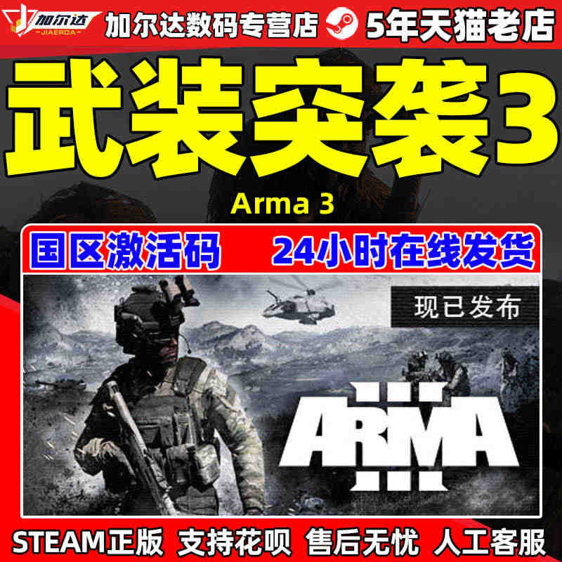 PC简体中文游戏 正版steam 武装突袭3 Arma 3 激活码cd...