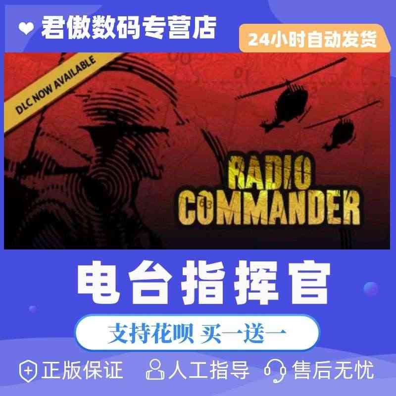 Steam PC正版 游戏 无线电指挥官 Radio Commande...