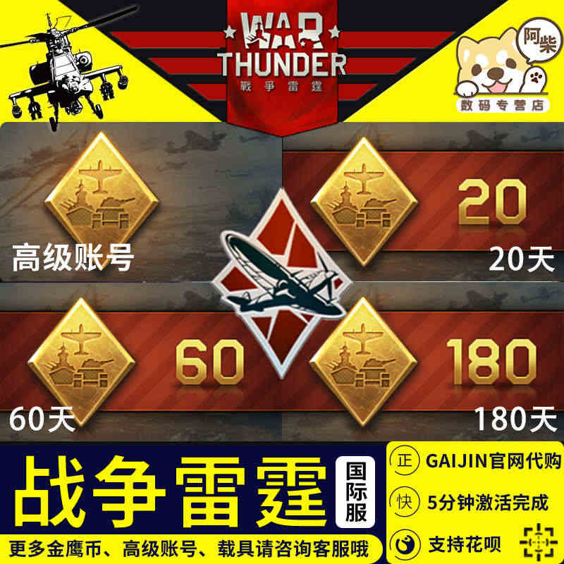 【自动发货】War thunder 战争雷霆 Steam国际服 高级账...