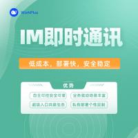 WorkPlus SE专业版， 一键部署，即时通讯+群聊+私有化+安卓iOS