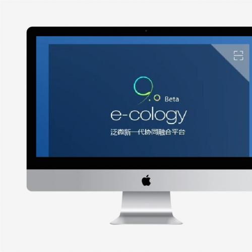 泛微 oa 办公 ecology9安装包 /授权注册/非标/EM7/eoffice11
【售价】
ec