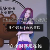 openAI账号批发-chatgpt3.5账号批发-5个起批-永久售后