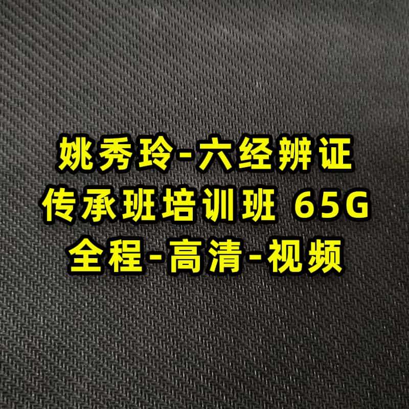 姚秀玲六经辩证传承班全程视频讲座高清完整视频