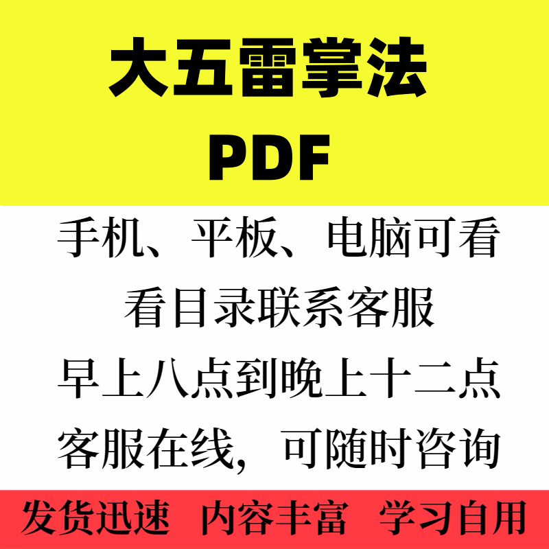 大五雷掌法.PDF