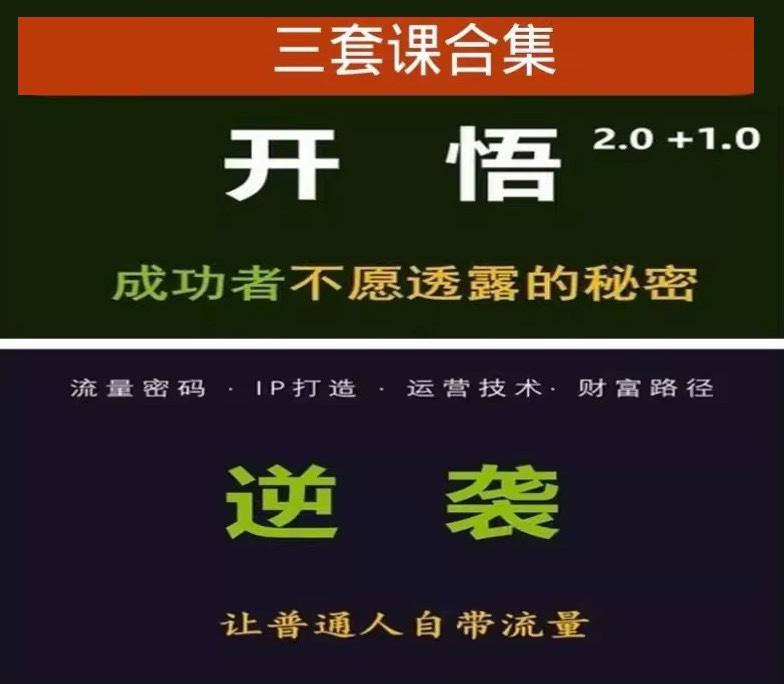 子非鱼开悟2.0成功者不愿透露的秘密这个世界只尊重强者视频课程