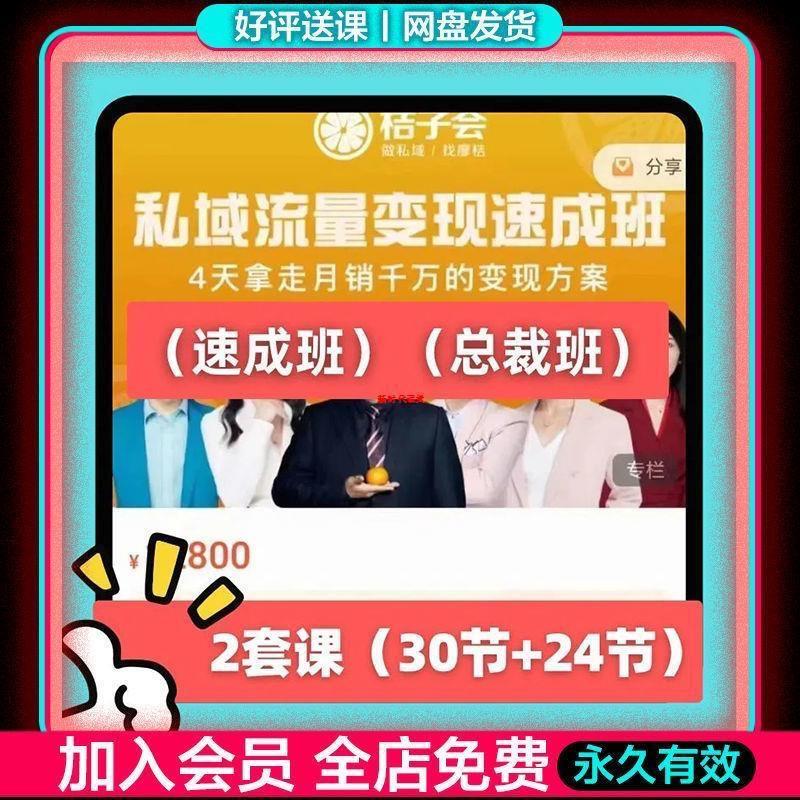 桔子会廖桔私域流量变现速成班4天拿走月销千万的变现方案3会新课