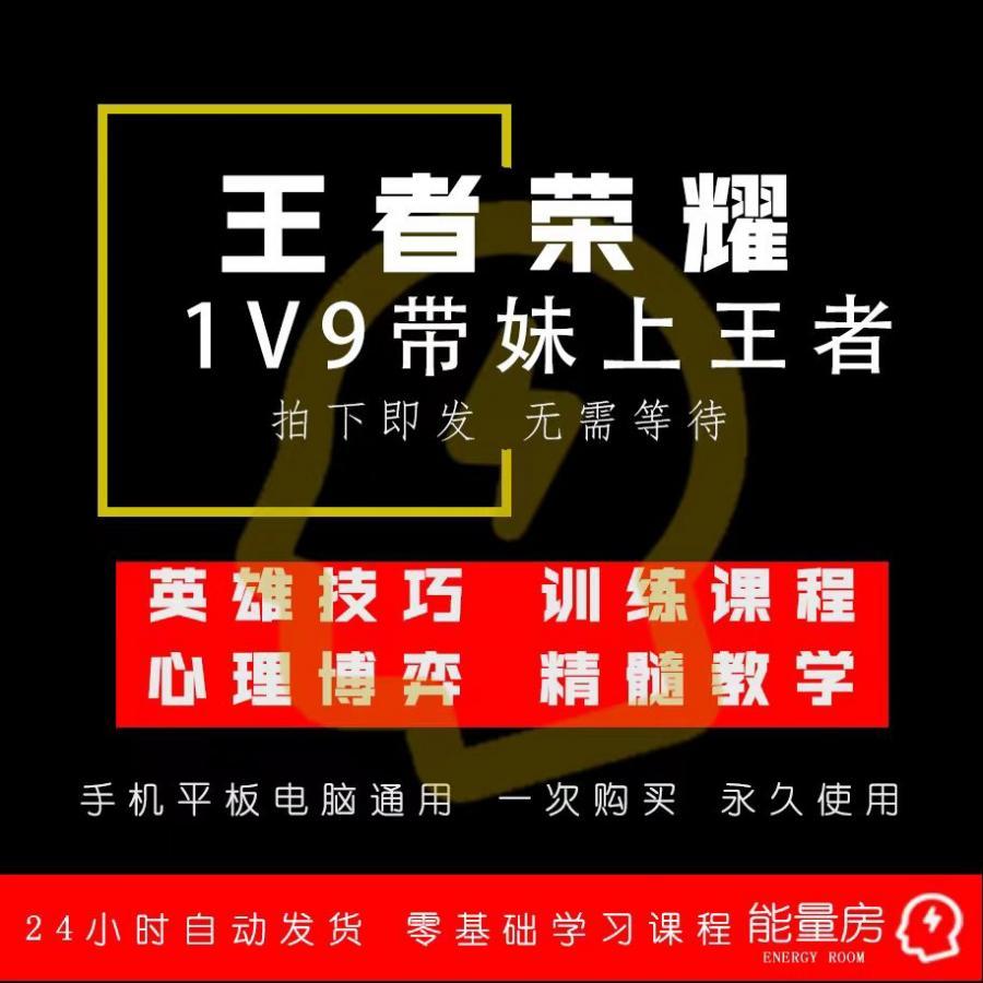 王者荣耀 教学课程名师付费意识大局观视频上千部500G