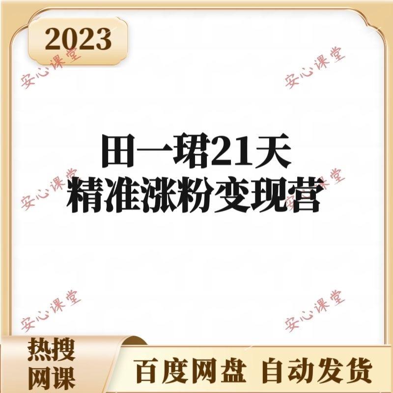 田一珺21天精准涨粉变现营网盘高清课不加密