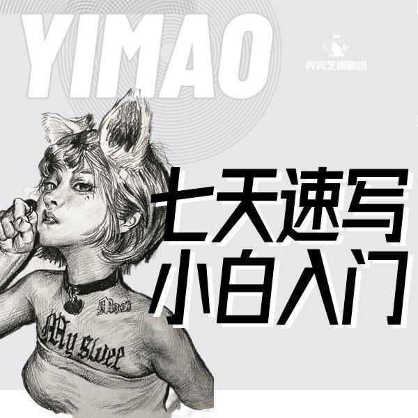 不加密央美艺猫-七天绘画小白入门34课时抖音同款