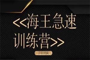 子轩《海王急速训练营》网盘下载1.3GB