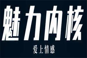 爱上情感系列《魅力内核（你的强力状态引擎）》网盘下载776.5MB