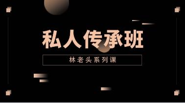 林老头系列课《私人传承班》无印网盘下载2.2GB