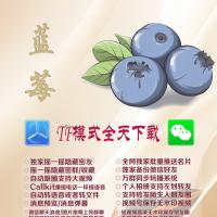 -苹果微信多开分身苹果TF蓝莓（赵子龙包）带一键转发跟自动圈-百款功能