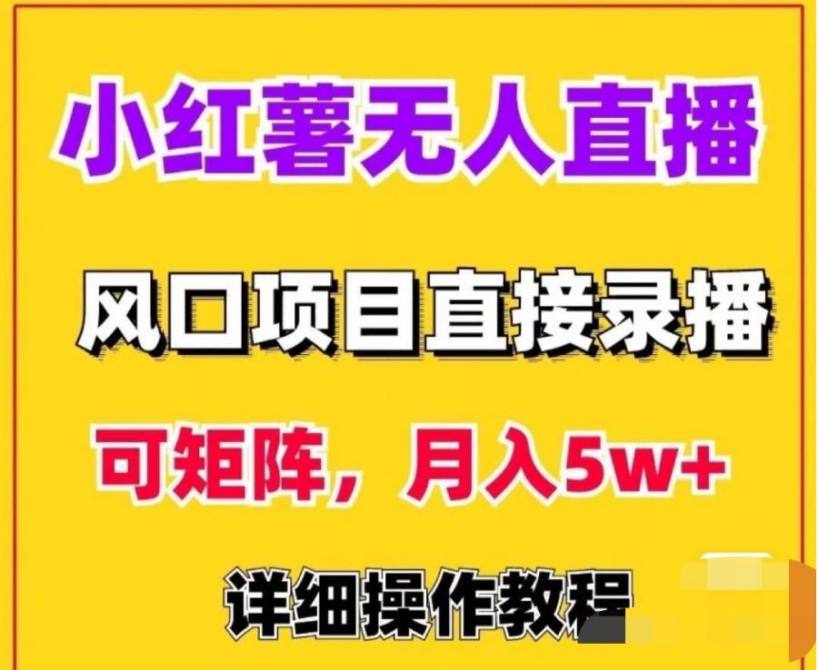 小红书无人直播风口项目矩阵小红薯带货直接录播详细视频操作教程
自动发货, 标价就是卖价, 需要直接拍