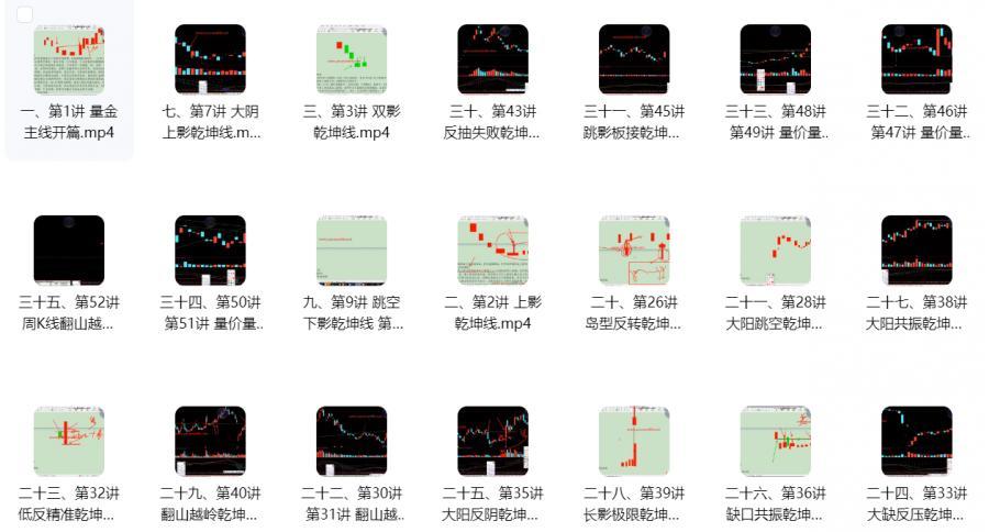 【骆驼子涵】股市量学系统课程
