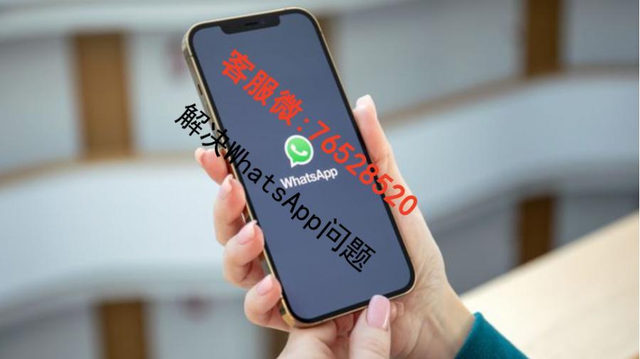 WhatsApp美国账号购买，WhatsApp账号在线购买，WhatsApp账号购买教程：自动化工具与技术流程详解