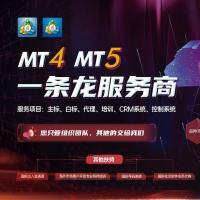 外汇交易软件系统MetaTrader4外汇系统MT4外汇MT5外汇GT...